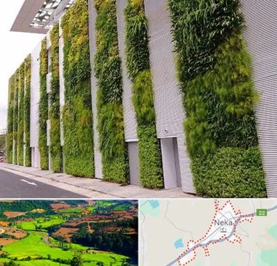 دیوار سبز در نکا