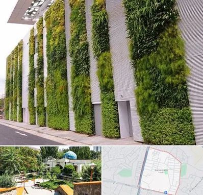 دیوار سبز در باغمیشه تبریز