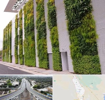 دیوار سبز در اندیمشک