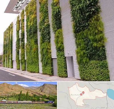 دیوار سبز در خاش