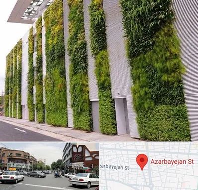 دیوار سبز در خیابان آذربایجان