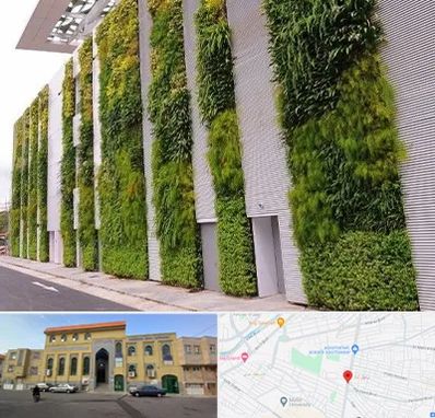 دیوار سبز در زنبیل آباد قم