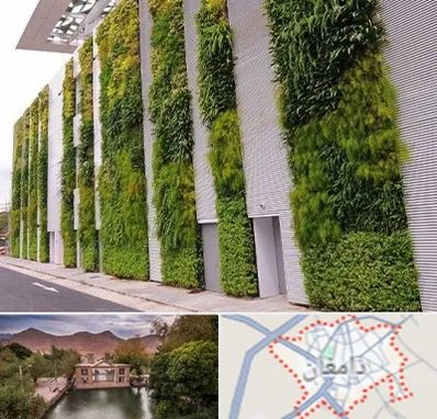 دیوار سبز در دامغان