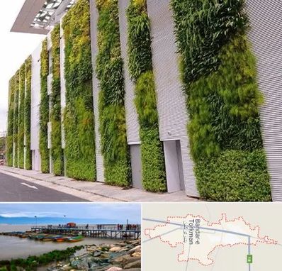 دیوار سبز در بندر ترکمن