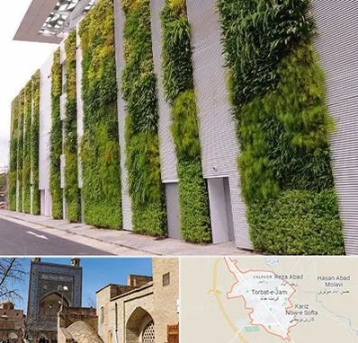 دیوار سبز در تربت جام