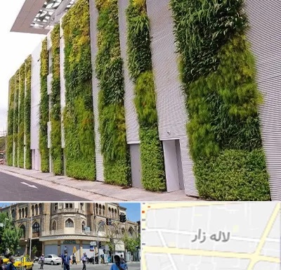 دیوار سبز در لاله زار
