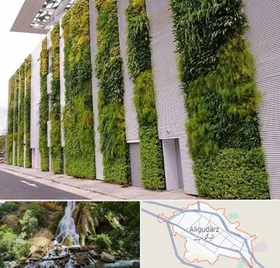 دیوار سبز در الیگودرز