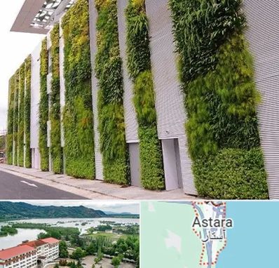 دیوار سبز در آستارا