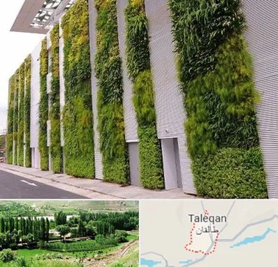 دیوار سبز در طالقان