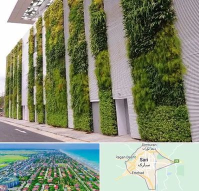 دیوار سبز در ساری