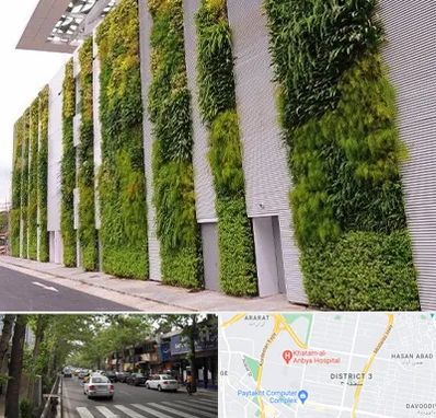 دیوار سبز در ظفر 