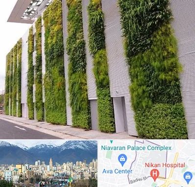 دیوار سبز در آجودانیه 