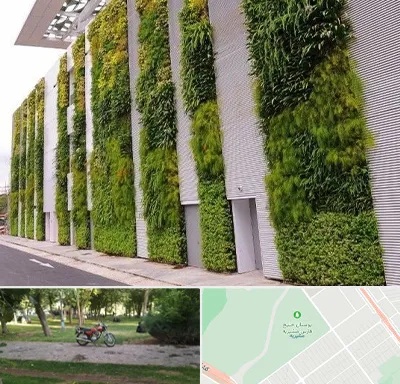 دیوار سبز در مشیریه