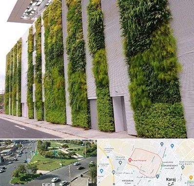 دیوار سبز در شاهین ویلا کرج 