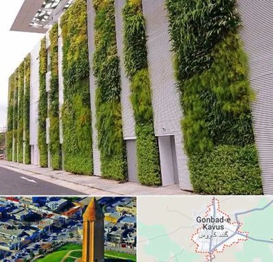 دیوار سبز در گنبد کاووس