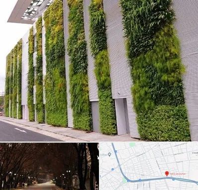 دیوار سبز در ابوریحان تبریز