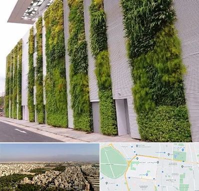 دیوار سبز در نازی آباد 