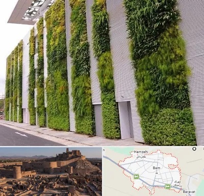 دیوار سبز در بم