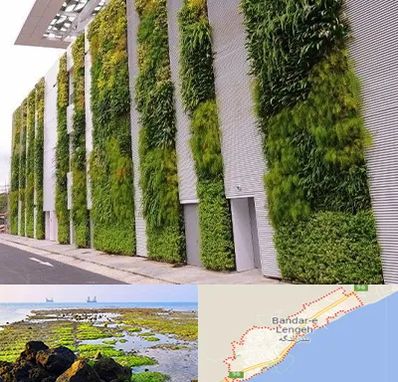 دیوار سبز در بندرلنگه