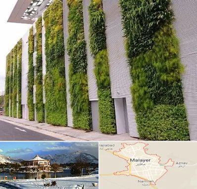 دیوار سبز در ملایر