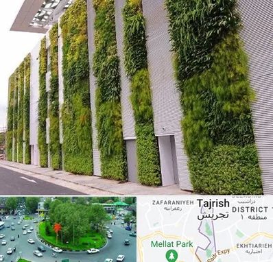 دیوار سبز در تجریش 