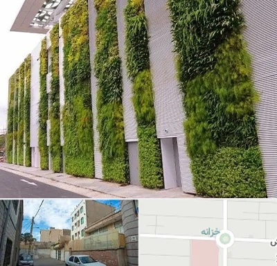 دیوار سبز در خزانه