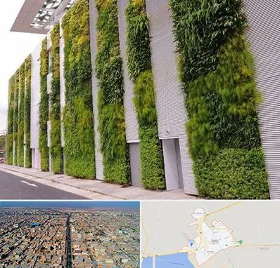 دیوار سبز در بندر ماهشهر