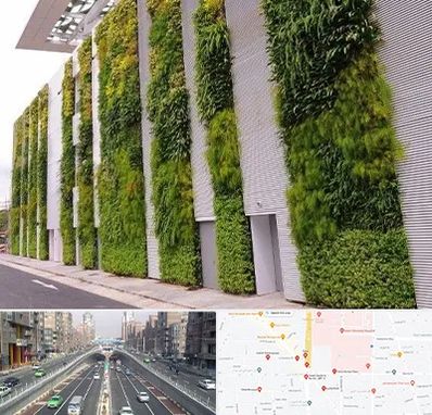 دیوار سبز در توحید 