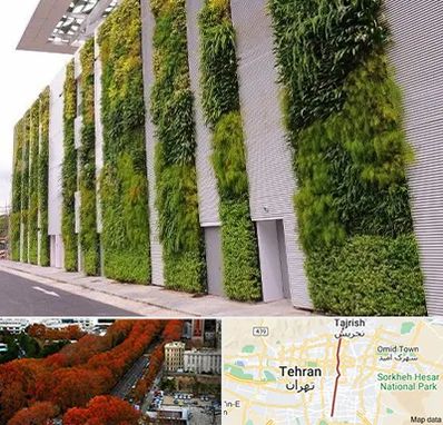 دیوار سبز در ولیعصر 