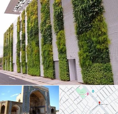 دیوار سبز در مصلی مشهد