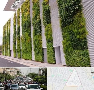 دیوار سبز در سیدی مشهد