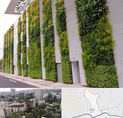 دیوار سبز در اوین