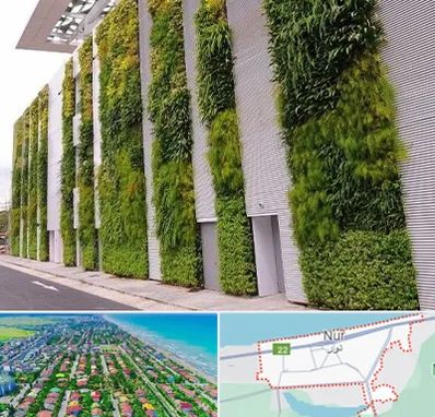 دیوار سبز در نور