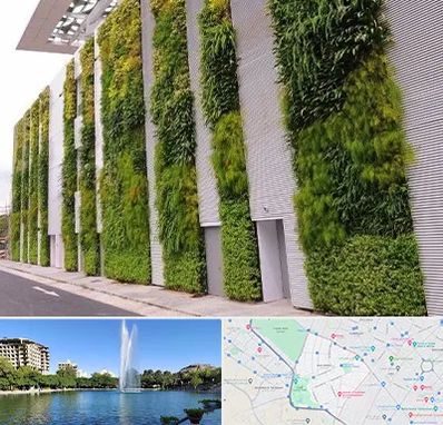 دیوار سبز در کوهسنگی مشهد 