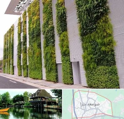 دیوار سبز در صومعه سرا