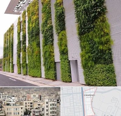 دیوار سبز در اسکندری