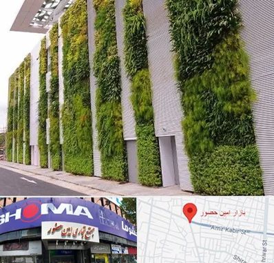 دیوار سبز در امین حضور