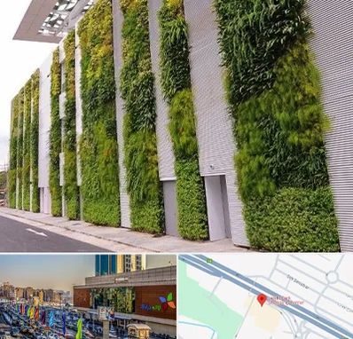 دیوار سبز در لاله پارک تبریز