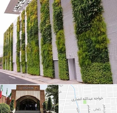 دیوار سبز در خواجه عبدالله