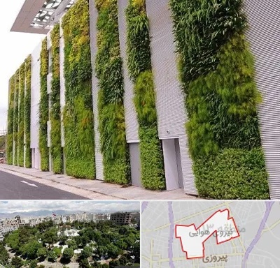 دیوار سبز در نیروی هوایی