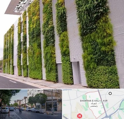 دیوار سبز در شهرک ولیعصر