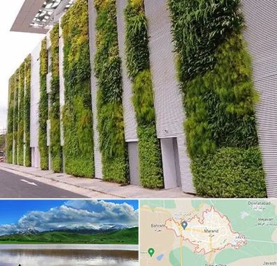 دیوار سبز در مرند