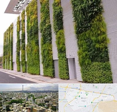 دیوار سبز در منطقه 8 تهران 
