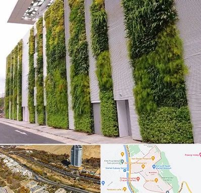 دیوار سبز در خیابان نیایش شیراز 