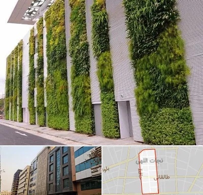 دیوار سبز در نجات اللهی