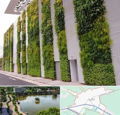 دیوار سبز در لنگرود