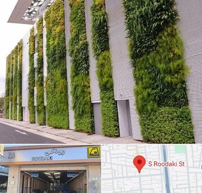 دیوار سبز در رودکی