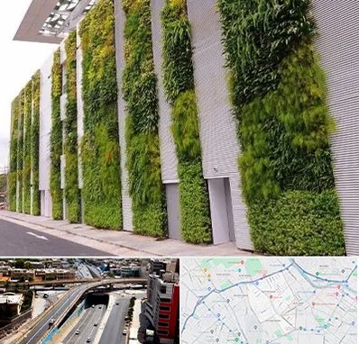 دیوار سبز در ستارخان شیراز 