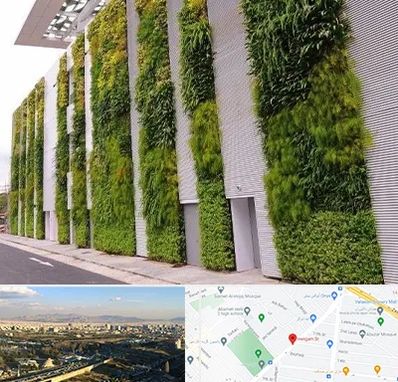 دیوار سبز در هنگام 