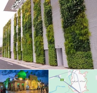 دیوار سبز در آستانه اشرفیه